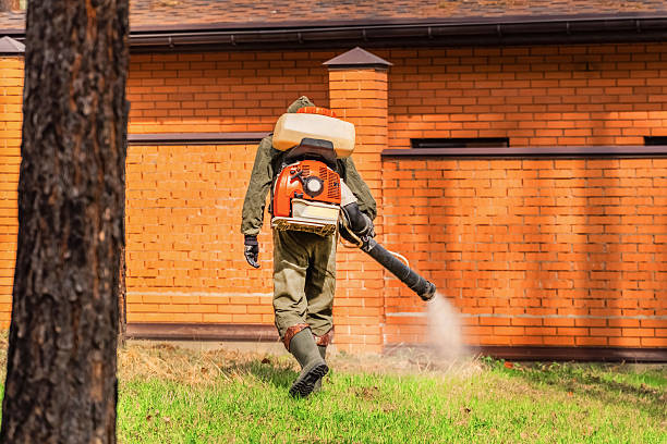 Trusted Bed Bug Control service in Green Tree, PA - Nex Pest Control